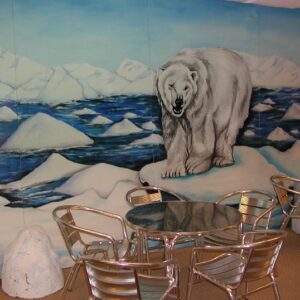 Decorwand  Antartica