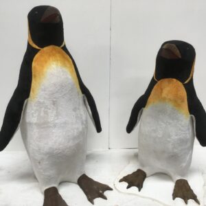 Decorwand  Antartica