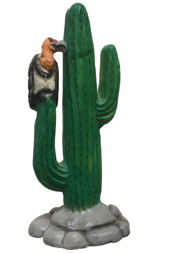Cactus met adelaar
