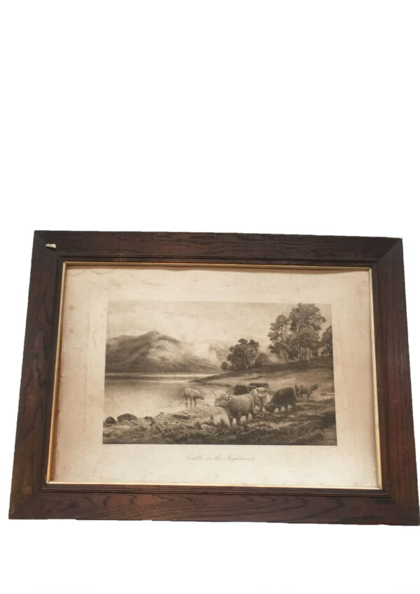 Cattle in the highlands schilderij