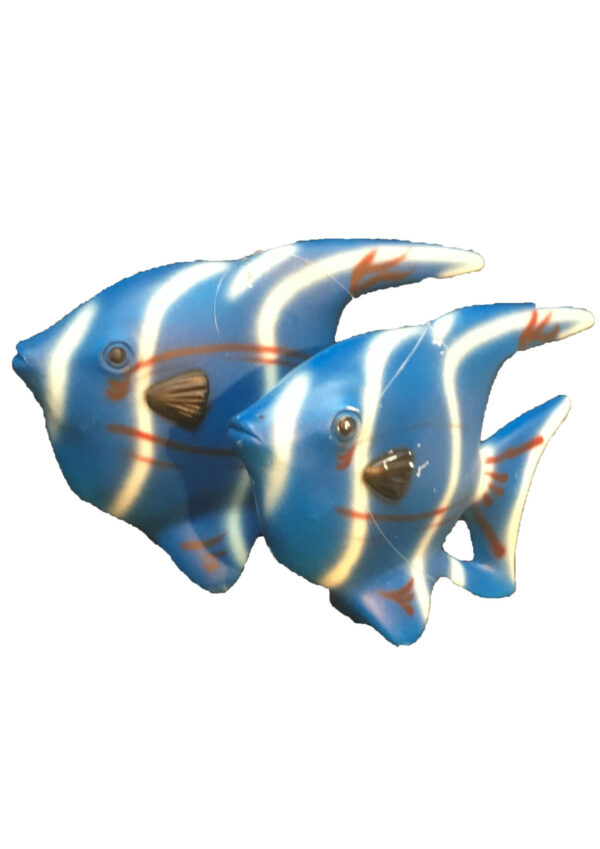 Clownsvis blauw