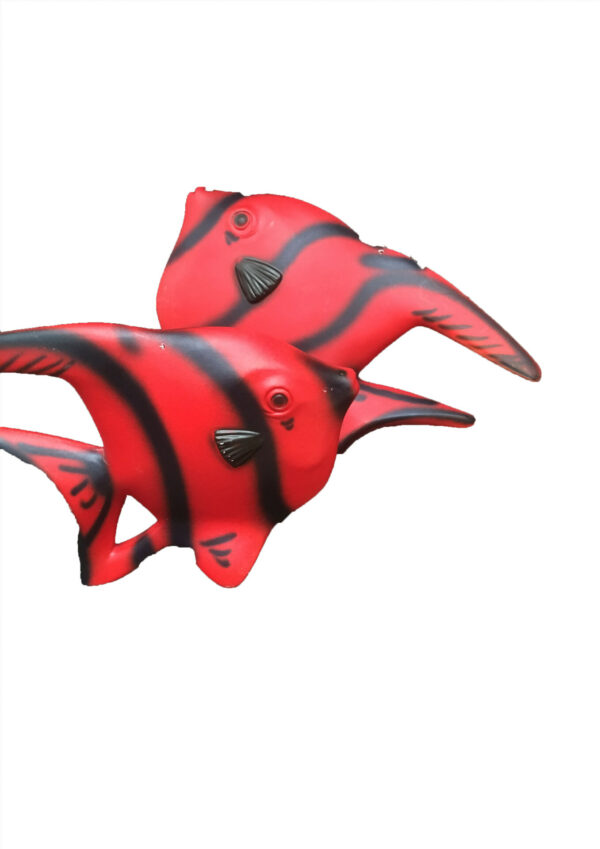 Clownsvis rood