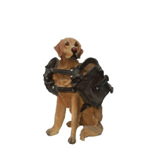 Dribbel de hond