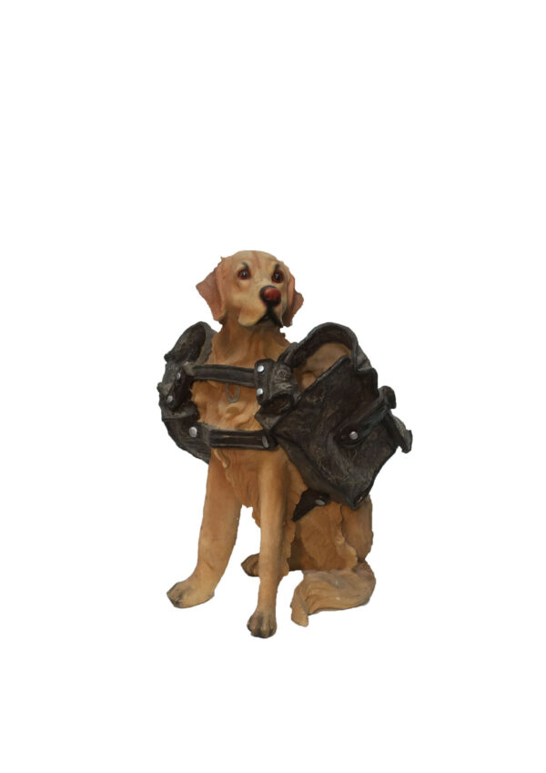 Dribbel de hond