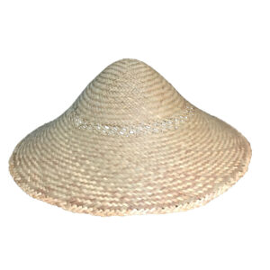 Hoed Vietnamees