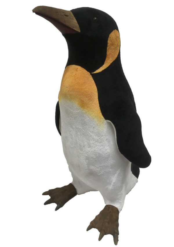 Pinguïn groot