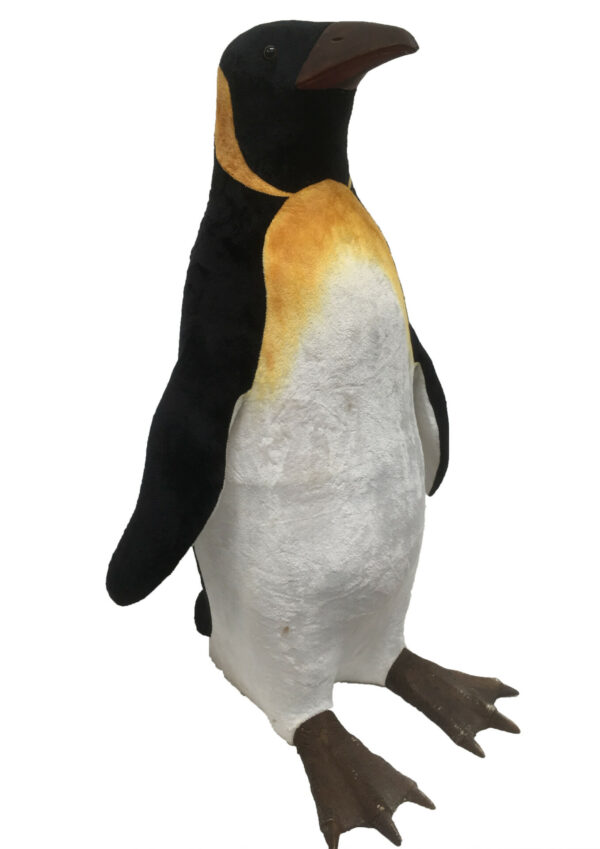 Pinguïn