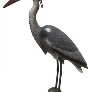 Reiger