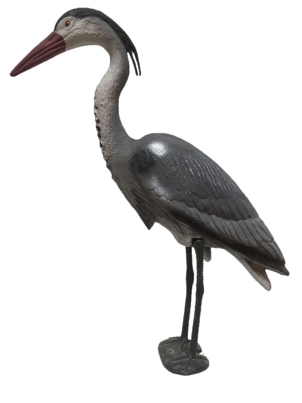 Reiger