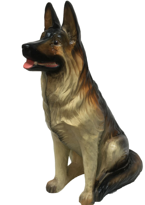 Rex de hond