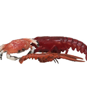 Schaaldieren