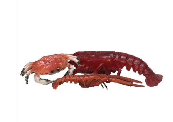 Schaaldieren