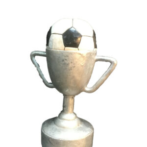 Voetbal cup
