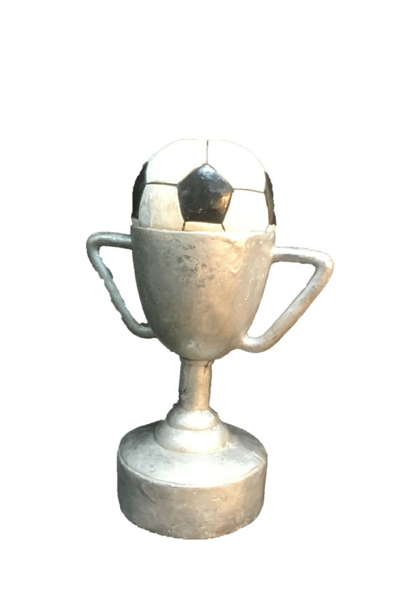Voetbal cup