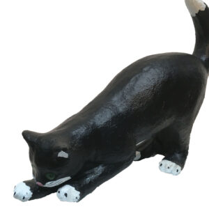 Zwarte kat