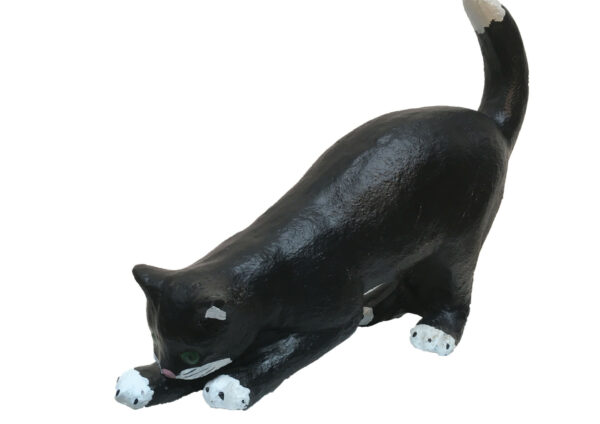 Zwarte kat