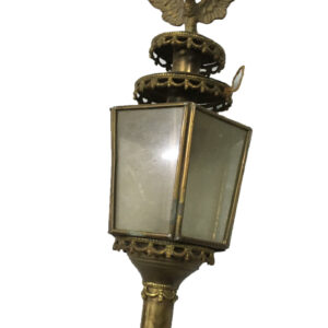 Koetslamp adelaar