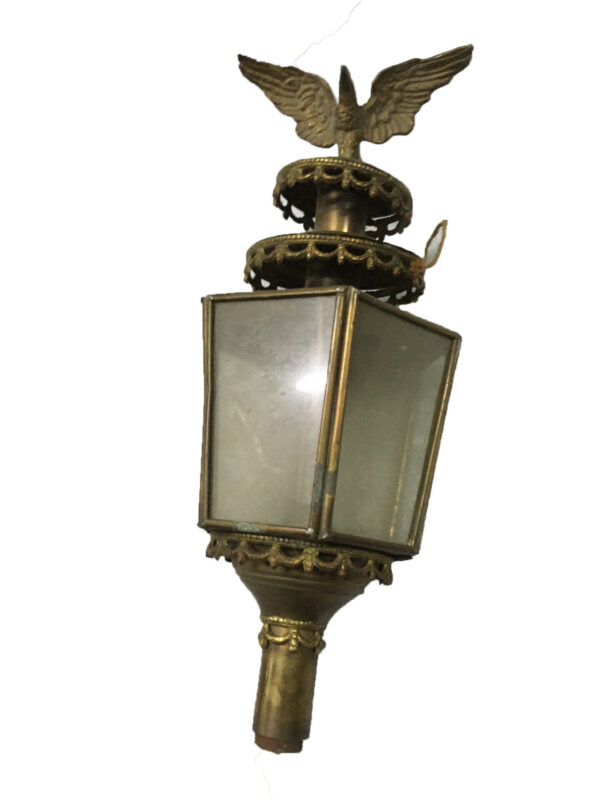 Koetslamp adelaar