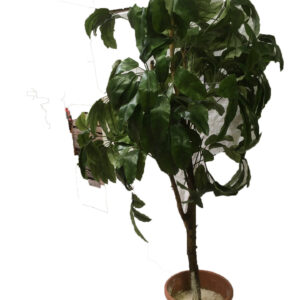 Kunstplant groot
