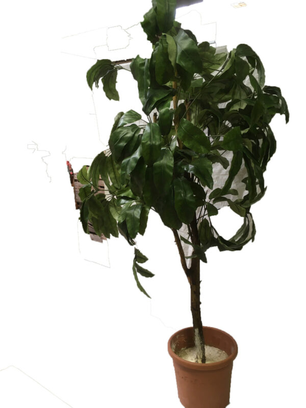 Kunstplant groot