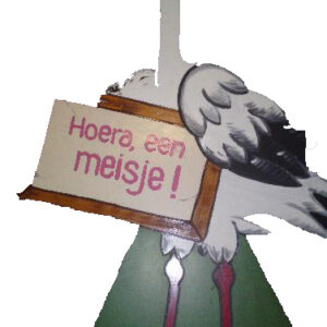 Ooievaar geboorte jongen