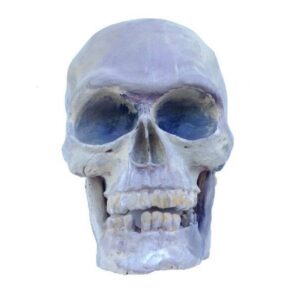 Halloween Schedel met zwaard