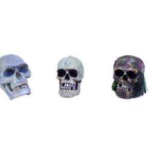 Halloween schedels