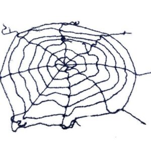 Halloween spinnenweb