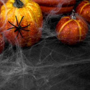 Halloween spinnenweb