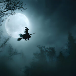 Halloween vliegende heks