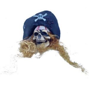 Piratenschedel