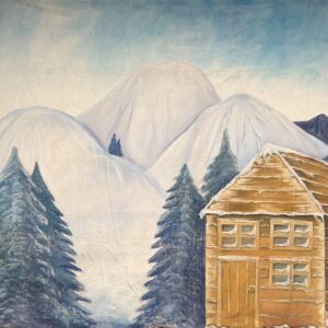 Decordoek Winterlandschap C